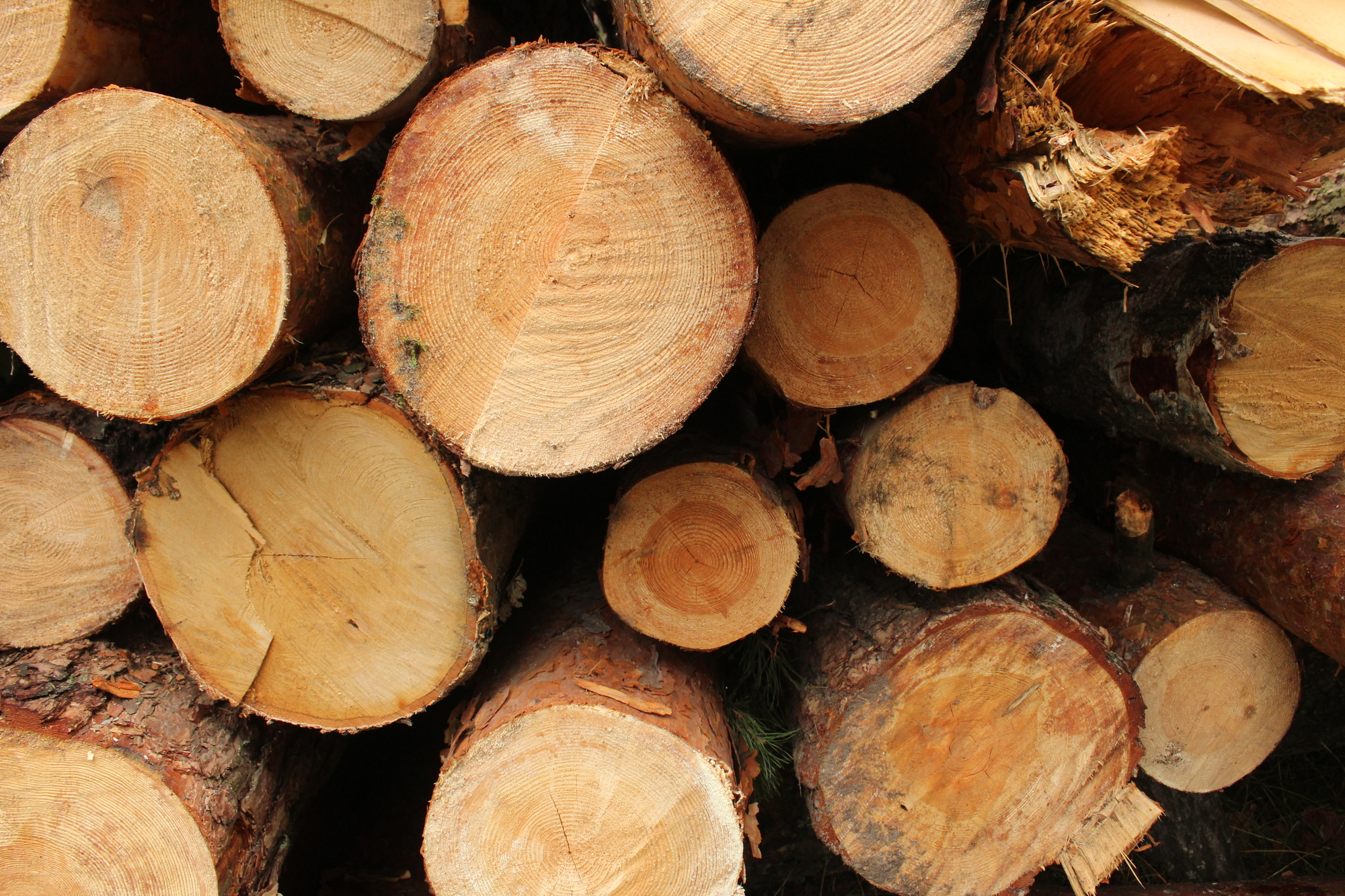 Tüzifa árak Székesfehérváron – Brennholz 2011 Kft. aktuális kínálata