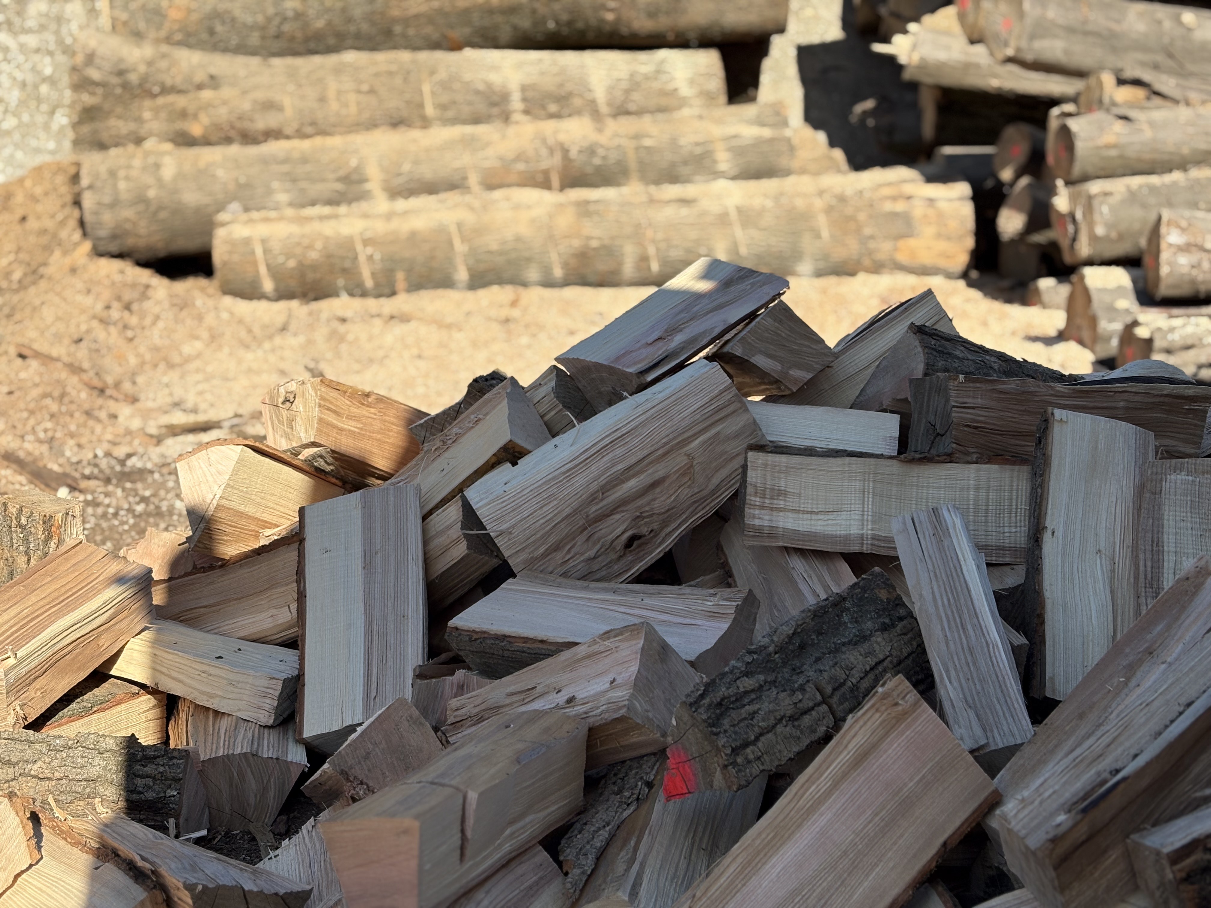 Kőris tüzifa Székesfehérvár környékén – minőségi tüzelő a Brennholztól