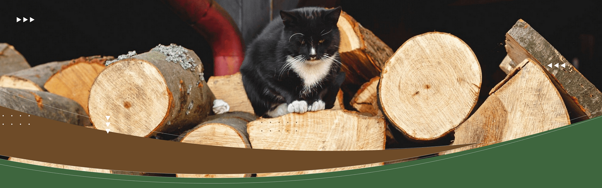 12 éve az Önök szolgálatában